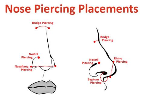 correct place to pierce nose.